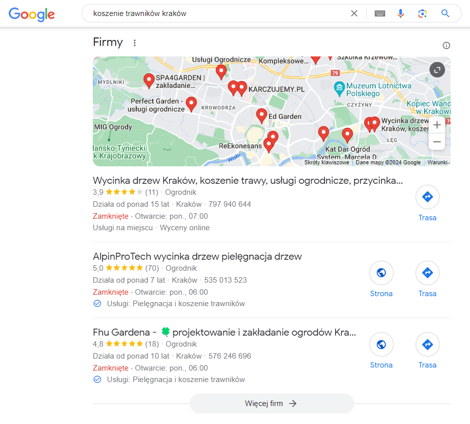 Google Moja Firma